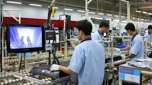 東莞妙齡女子的價值觀危機 經濟咨詢服務視角下的反思