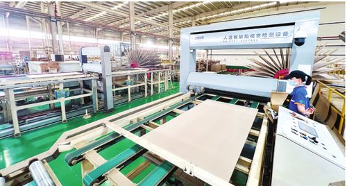 智改數轉 轉出一片新天地 社會經濟咨詢服務的新篇章